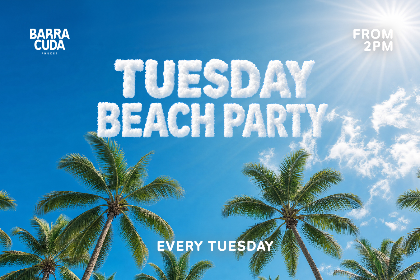 BEACH PARTY (w4)